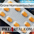 Grüne Hornissenlaschen cialis3